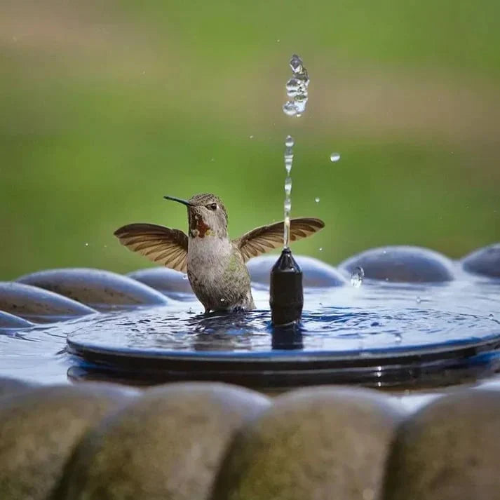 Avapalo® Solar Water Fountain Pump (6.3 in / 16 cm)