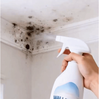 Avapalo® Highly Effective Mould Removal Spray