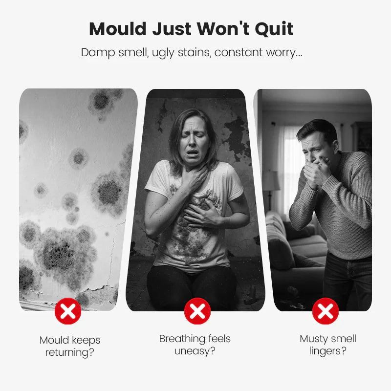 🆙🔥Highly Effective Mould Removal Spray - Prevents Mould Regrowth.🛡️Save your and your family's health🏠