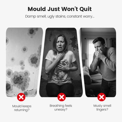 🆙🔥Highly Effective Mould Removal Spray - Prevents Mould Regrowth.🛡️Save your and your family's health🏠