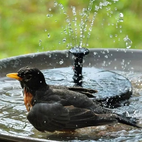 🆙  Solar Water Fountain Pump (6.3 in / 16 cm)